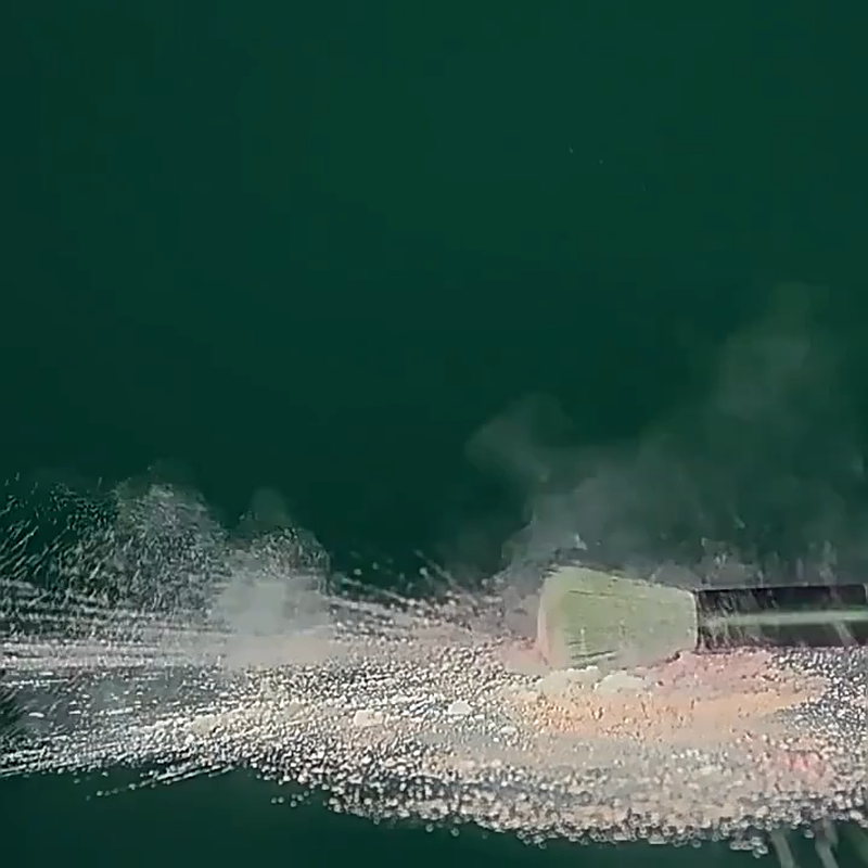 Automatic Brush Cleaner Machine