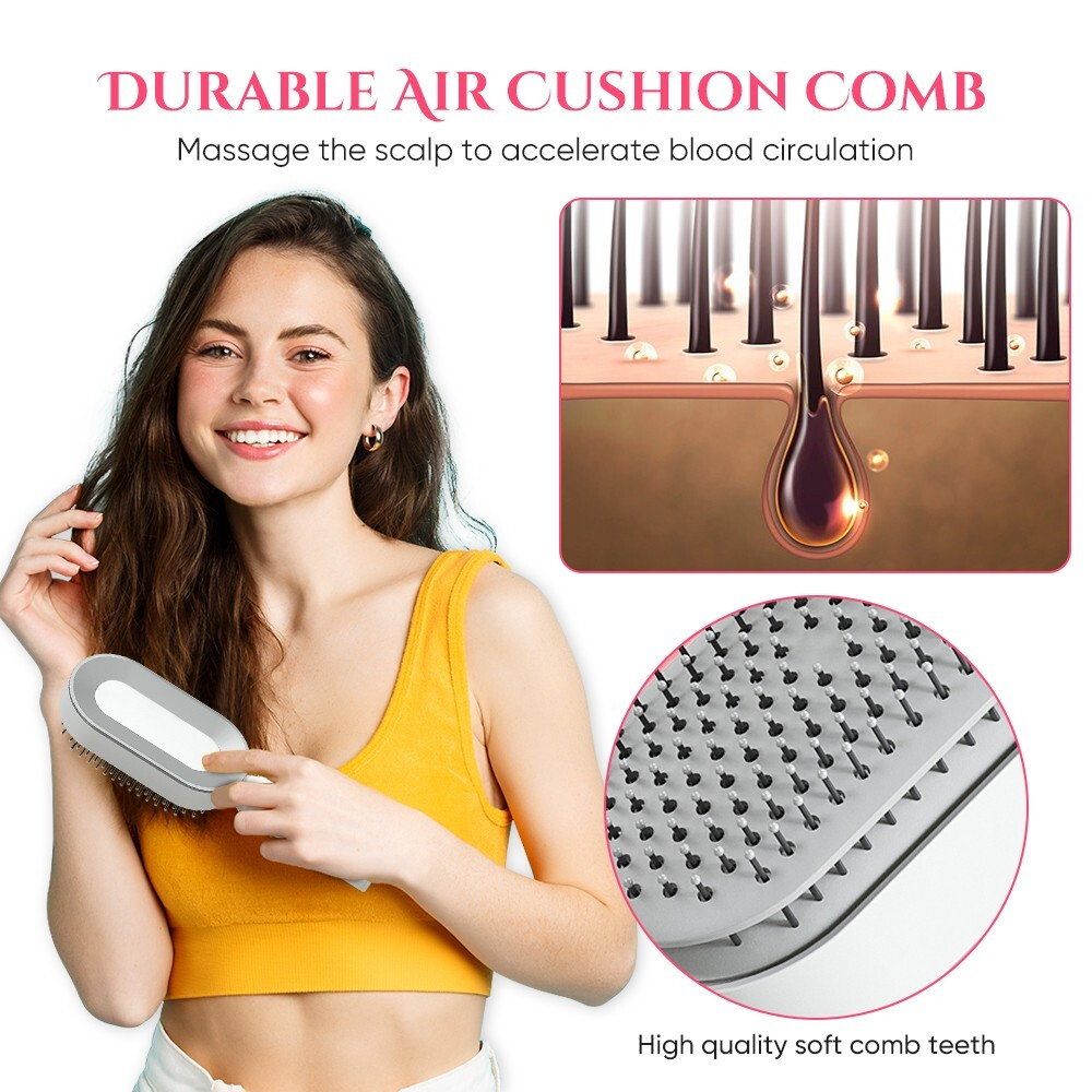 Self Cleaning Detangling Hair Brush