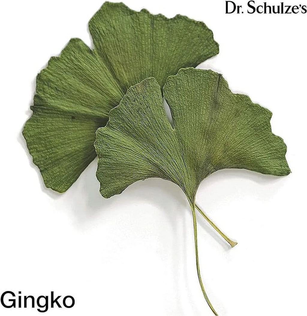 Dr.Schulze'S Brain Herbal Supplements with Ginkgo Biloba for Memory and Focus, Vegan,Stimulates Circulation 2 Oz.