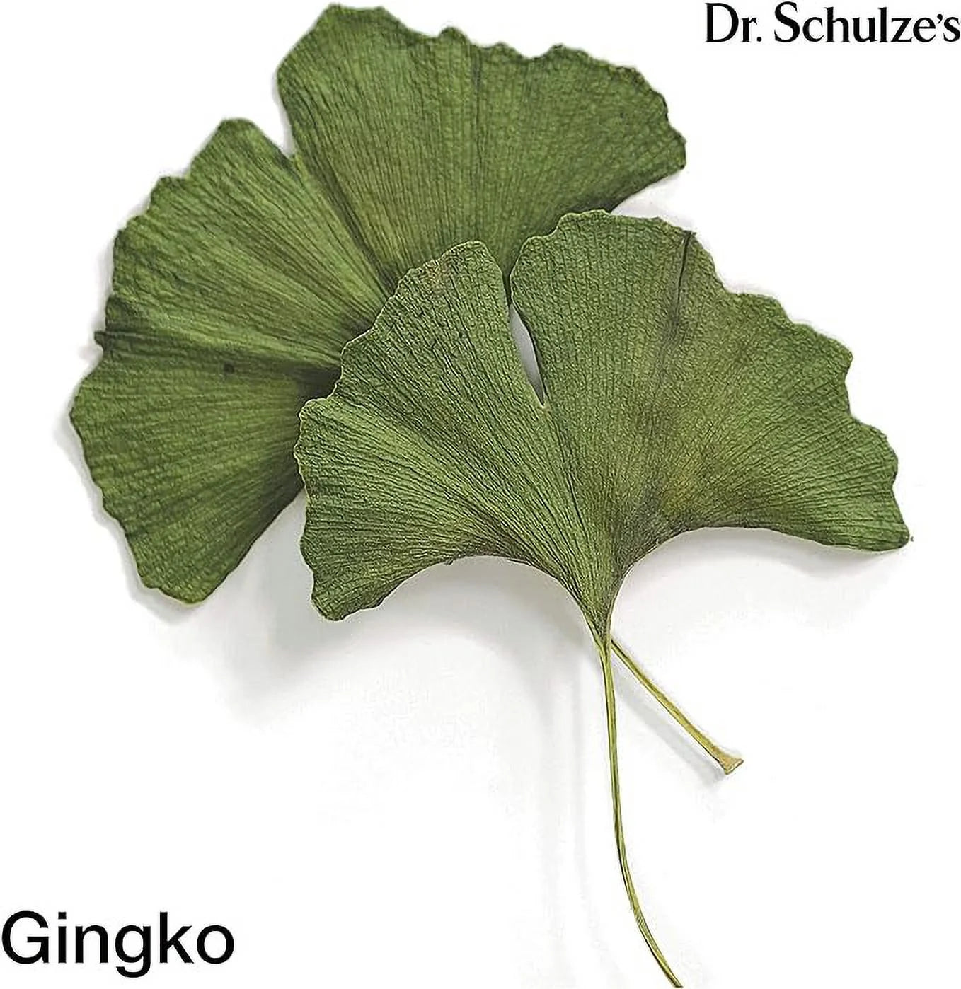 Dr.Schulze'S Brain Herbal Supplements with Ginkgo Biloba for Memory and Focus, Vegan,Stimulates Circulation 2 Oz.